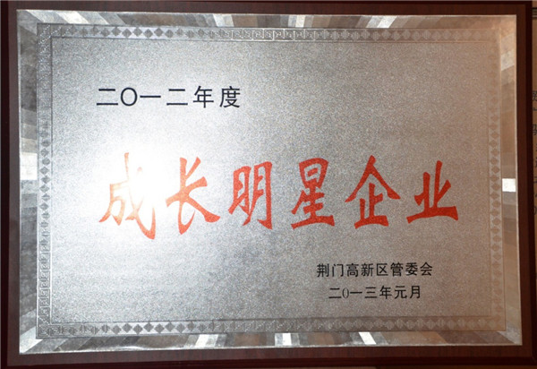 成长明星企业